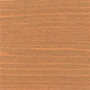 Caramel NT-1419