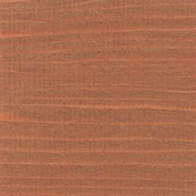 Cinnamon NT-1412