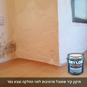 דריילוק 15 - אקסטרים צבע איטום נגד רטיבות ועובש