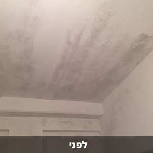 דריילוק 15 - אקסטרים צבע איטום נגד רטיבות ועובש