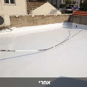 בלאק ג'ק 120 - חומר איטום גגות 100% סיליקון - אטום לתמיד