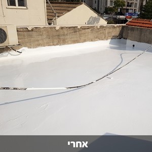 בלאק ג'ק 120 - חומר איטום גגות 100% סיליקון - אטום לתמיד