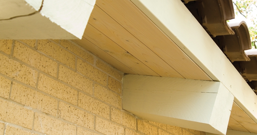 בית פרטי בבית יצחק