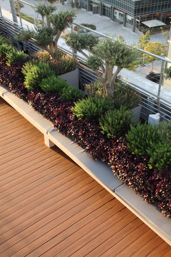 גג משרדים בהרצליה