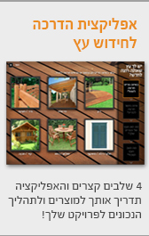 אפליקציה