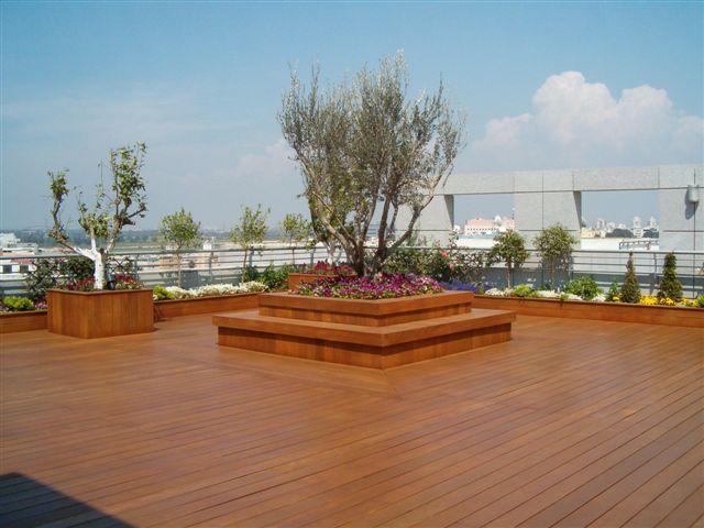 גג בניין חברת מגדל לפני ואחרי