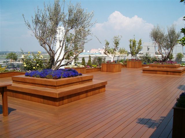 גג בניין חברת מגדל לפני ואחרי