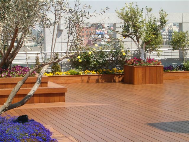 גג בניין חברת מגדל לפני ואחרי