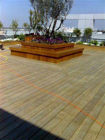 גג בניין חברת מגדל לפני ואחרי