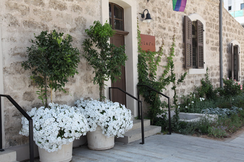 חלונות ותריסים  במתחם שרונה 1