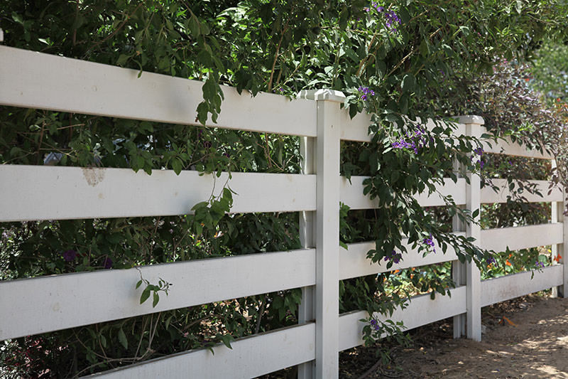 בית פרטי בעין עירון