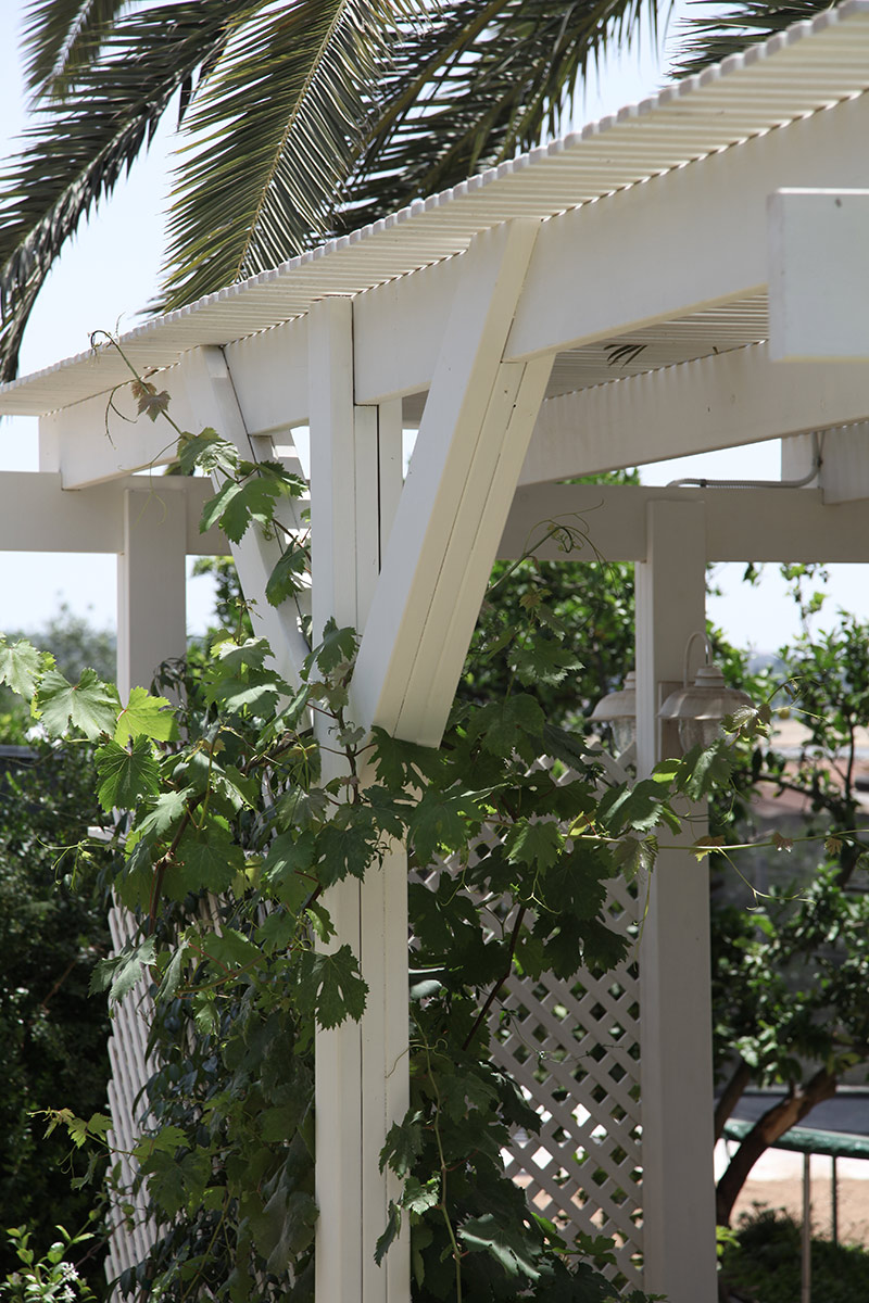 בית פרטי בעין עירון