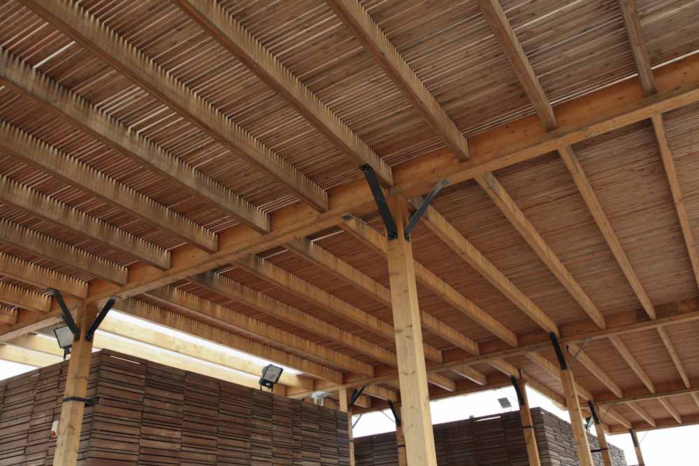 פארק אריאל שרון