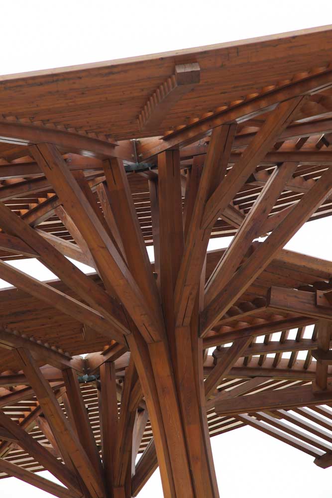 פארק אריאל שרון