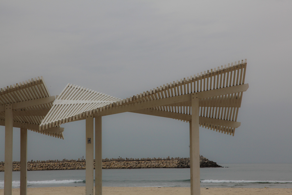 פרגולות חוף אכדיה