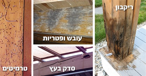 תופעות להתיישנות פרגולה