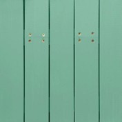 Celery Green NS-1630