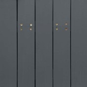 Corundum NS-1646