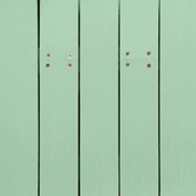 Habor Green NS-1622