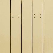 Parchment NS-1681