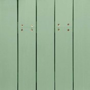 Sea Foam Green S-535