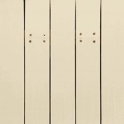 Sand Dollar S-511