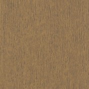 Pinecone C-127