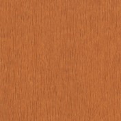 Tiger lily C-114