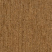 Toasted Spice C-117