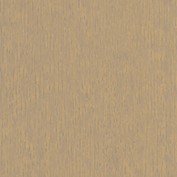 Coastal Gray C-131