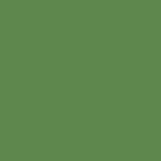 RAL 6017.JPG