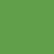 RAL 6018.JPG