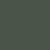RAL 6020.JPG