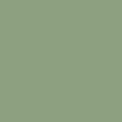 RAL 6021.JPG