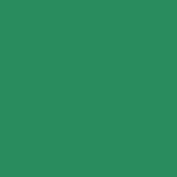 RAL 6024.JPG