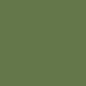 RAL 6025.JPG