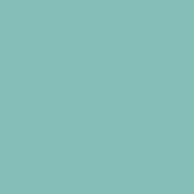 RAL 6027.JPG