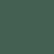 RAL 6028.JPG