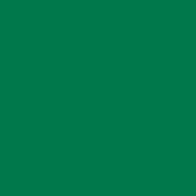 RAL 6029.JPG
