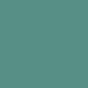 RAL 6033.JPG