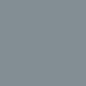 RAL 7000.JPG