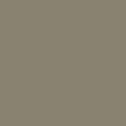 RAL 7002.JPG