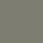 RAL 7003.JPG