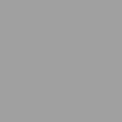 RAL 7004.JPG