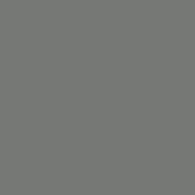 RAL 7005.JPG