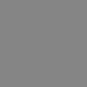 RAL 7037.JPG