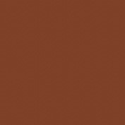RAL 8029.jpg