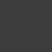 RAL 9005.JPG