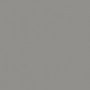 RAL 9007.jpg