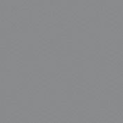 RAL 9023.jpg